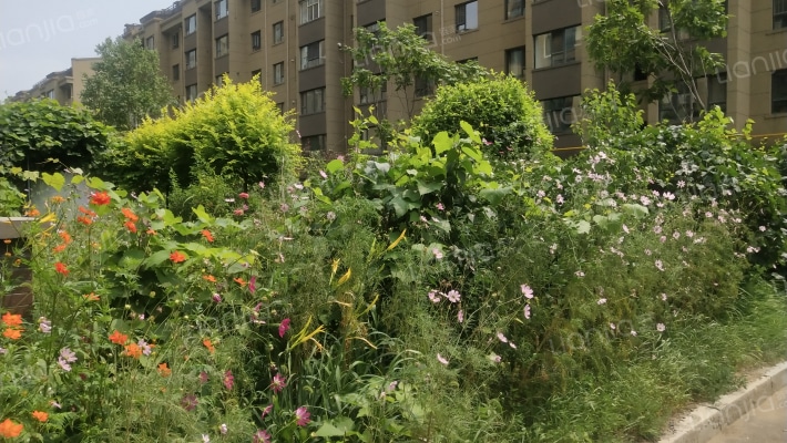 锦绣江南外景图