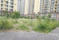 佳美绿洲户型图实景图
