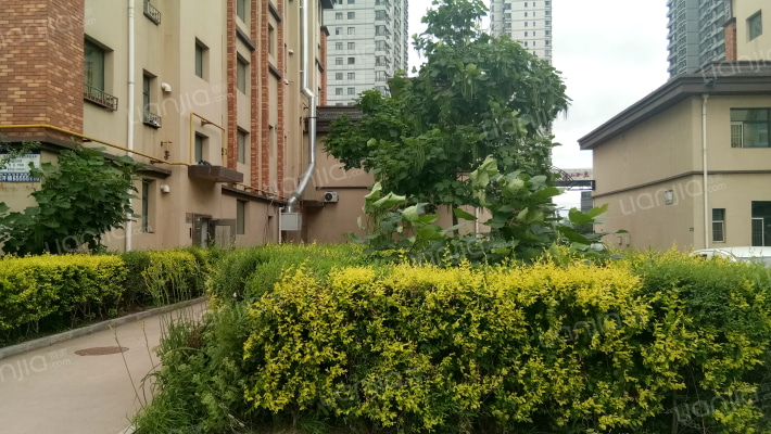 雾凇福苑外景图