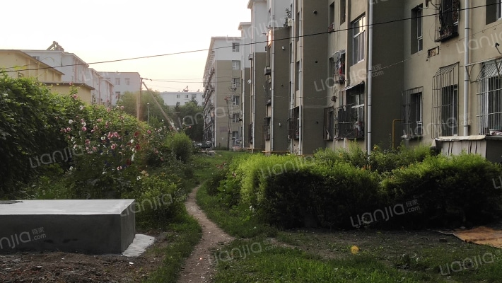 新吉林小区外景图