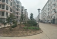新家馨园东区户型图实景图