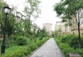 嘉骏城市花园户型图实景图