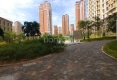 清园户型图实景图