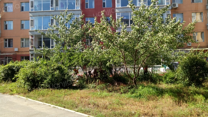 金穗家园外景图