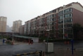 格林小镇户型图实景图