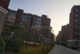 金秋华城B区户型图实景图