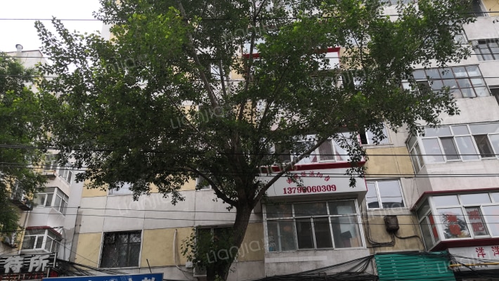 上夹树街外景图