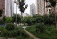 锦绣家园小区户型图实景图