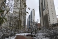 海湖星城户型图实景图