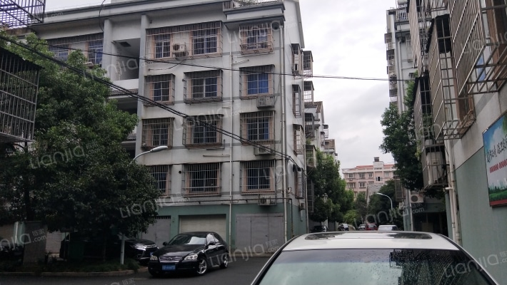 金东北苑外景图