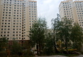 利源小区户型图实景图