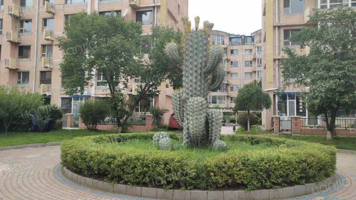 鸿博御园外景图