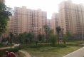 丽水名门户型图实景图