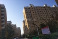 御墅林枫户型图实景图