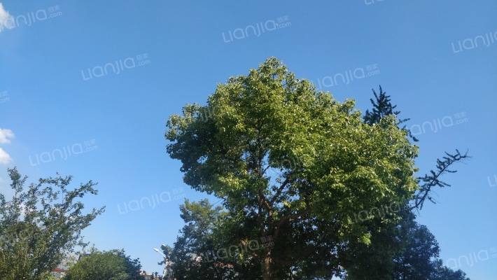 金桂公寓外景图