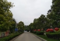 府前花园户型图实景图