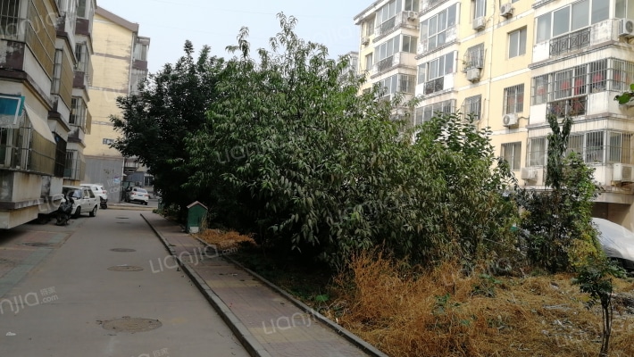 旺园小区外景图