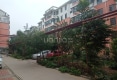 东街同仁小区户型图实景图