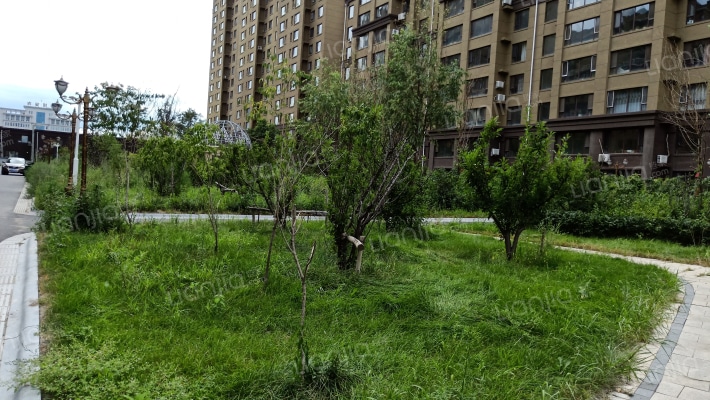 龙翔尊邸外景图