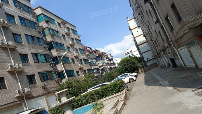 郁金香花园外景图