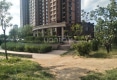 金鹰翠湖天地望湖居户型图实景图