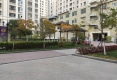 金座威尼谷户型图实景图