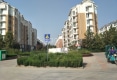 东街社区户型图实景图