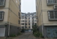嘉诚黄金水岸户型图实景图