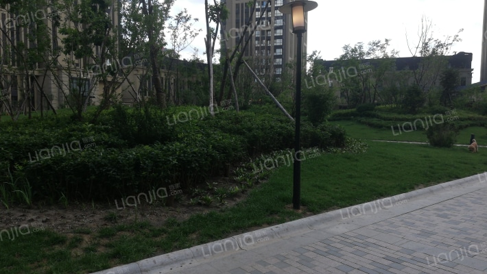 新松·茂樾山外景图