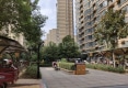 宇信凯旋城户型图实景图