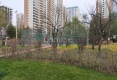 世通国际户型图实景图