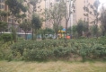 丽水名门户型图实景图