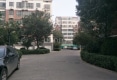 金都花城户型图实景图