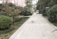 锦和新城祥苑户型图实景图
