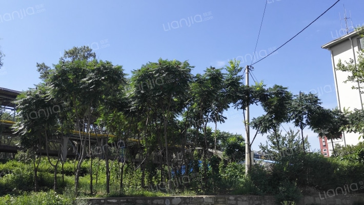 中国石油小区外景图