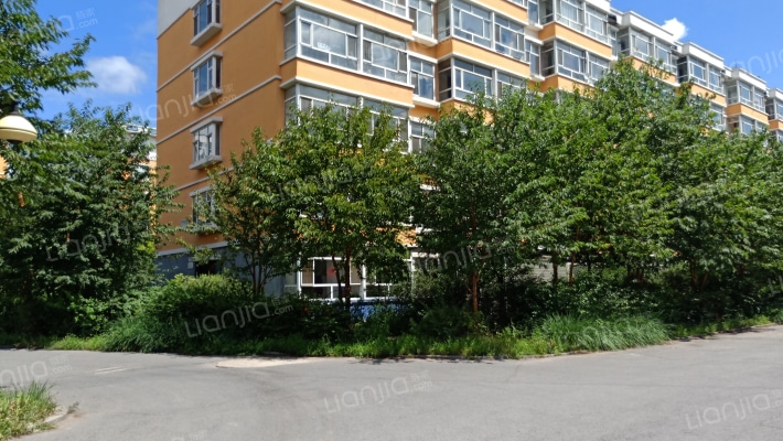 林业新村外景图