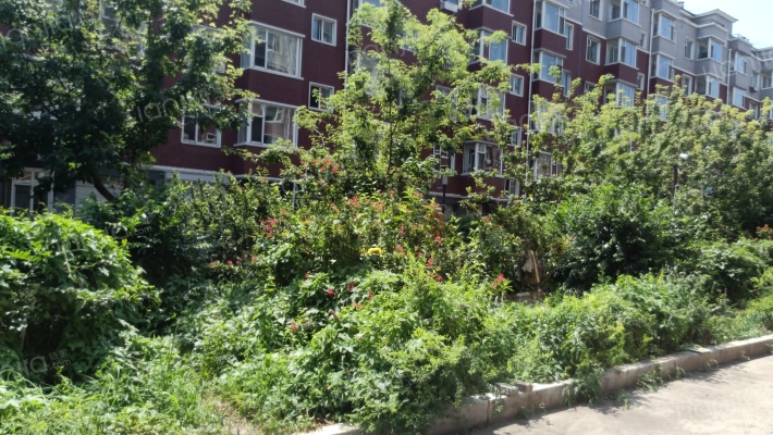 学府世家(榆树市)外景图