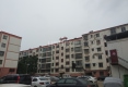 新城公寓户型图实景图