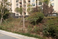 众恒翡翠城户型图实景图