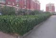 姚魏社区户型图实景图