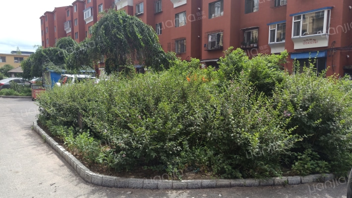 河南小康村外景图