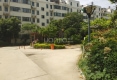 祥和馨苑户型图实景图