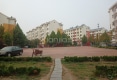 东苑小区户型图实景图