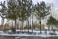 省委海湖住宅小区户型图实景图