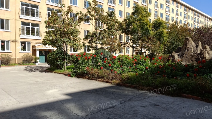 尚志中学家属楼外景图