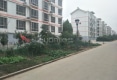 新家馨园东区户型图实景图