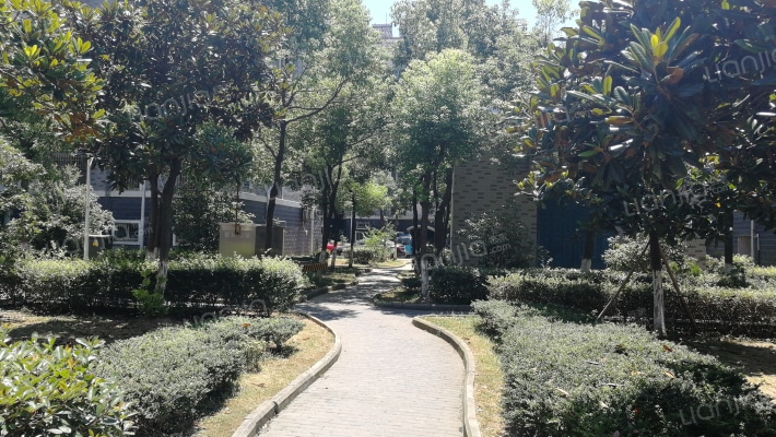 红星嘉苑外景图