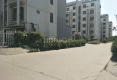 杨桥社区户型图实景图