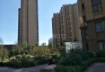 富怡雅居户型图实景图
