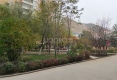 金座雅园一期户型图实景图